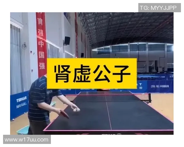 杭州乒乓球队如何通过节奏革新提升竞技水平与团队协作能力